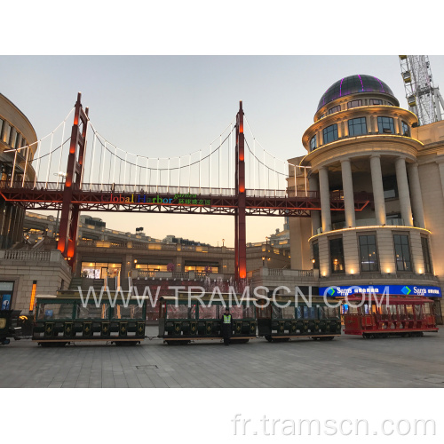 Train de piste pour enfants de promenades chaudes pour parc en extérieur